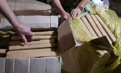 Incautan marihuana que era distribuida a través de encomiendas