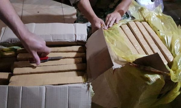 Incautan marihuana que era distribuida a través de encomiendas