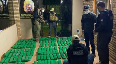 SENAD incauta 195 kilos de marihuana de vivienda allanada en una zona rural