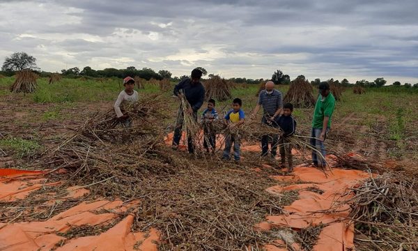 Salud deberá responder sobre plan de vacunación para comunidades indígenas