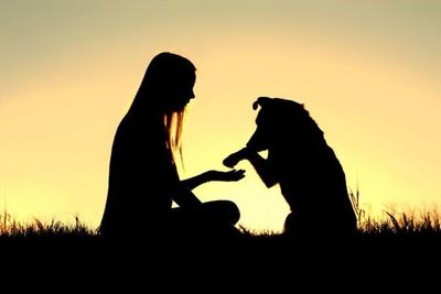 ¿Por qué las mascotas son tan buenas para la salud mental? La ciencia lo explica