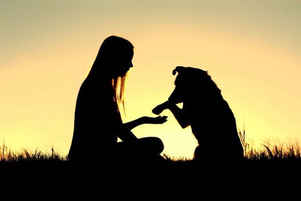 ¿Por qué las mascotas son tan buenas para la salud mental? La ciencia lo explica