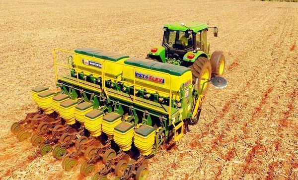 Trigo presenta buen volumen de exportación pese a baja producción
