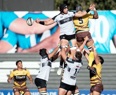 Lions vencen a Cafeteros Pro - Polideportivo - ABC Color