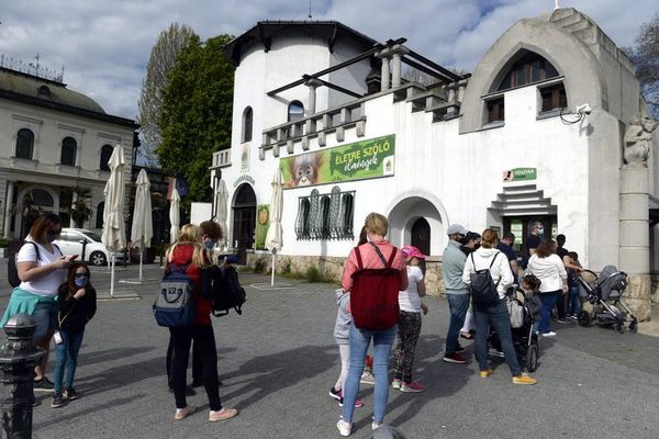 Hungría reabre el ocio de la mano de un certificado de vacunación - Mundo - ABC Color