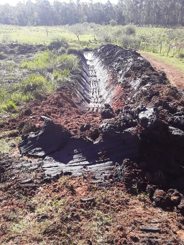 Denuncian crimen ambiental en zona de Culantrillo – Prensa 5