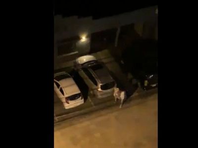Covid-19: Denuncian fiesta hasta altas horas en local nocturno
