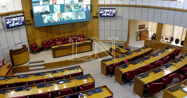 La Nación / El Senado debe definir continuidad de legisladora