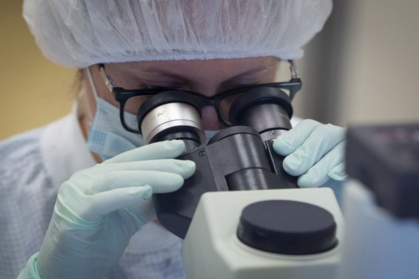 A qué temperatura es posible neutralizar el SARS-CoV-2