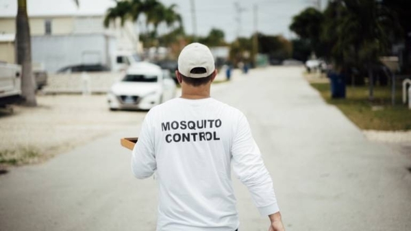 Diario HOY | Primeros mosquitos modificados genéticamente lanzados en los Estados Unidos