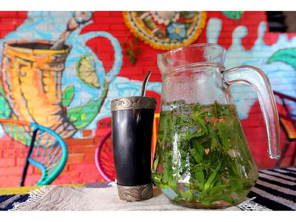 Cuidados, ventajas y desventajas del tereré