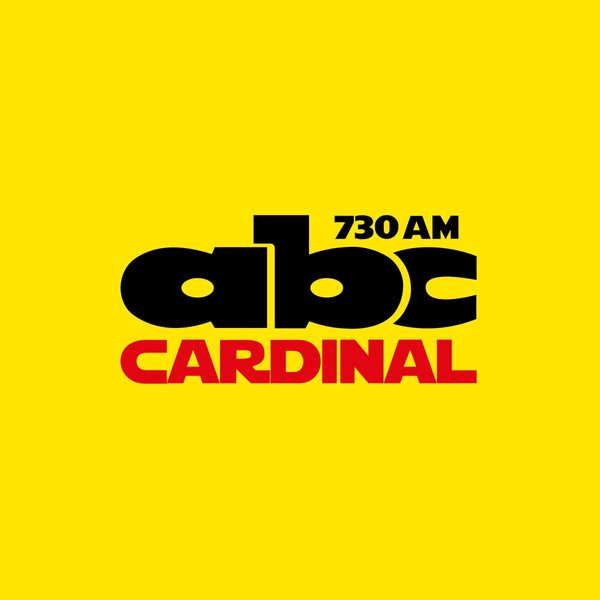 Ever Hugo Almeida y su salida de Sol de América - Cardinal Deportivo - ABC Color