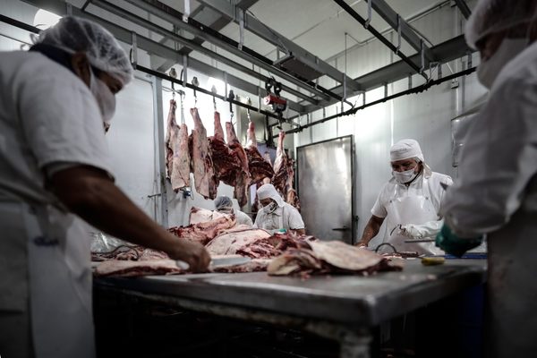 Los "lunes verdes" y "sin carne" alarman al sector ganadero de Argentina - MarketData