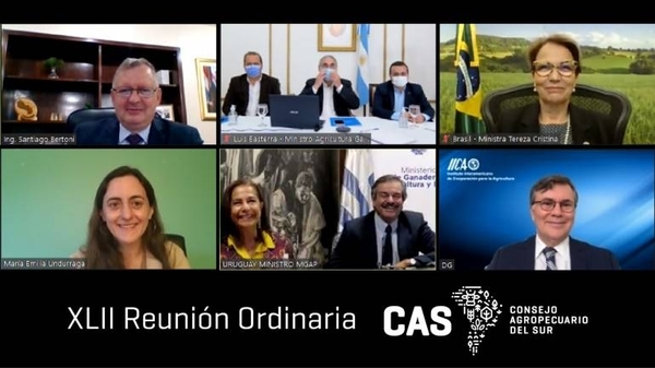 Diario HOY | Paraguay y otros países de la región piden ir unidos a la cumbre alimentaria de la ONU