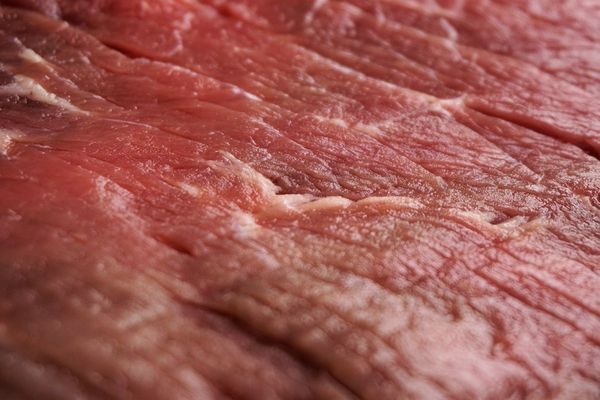 Nuevo récord histórico de exportación de carne (aunque industriales advierten que habrá retracción)