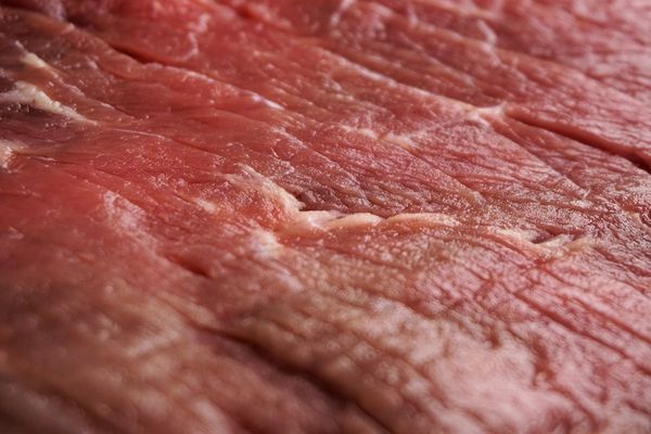 Nuevo récord histórico de exportación de carne (aunque industriales advierten que habrá retracción)