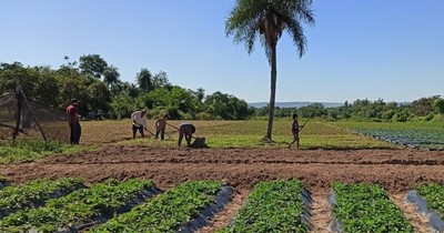 La Nación / MAG acompaña actividades en fincas de familias productoras