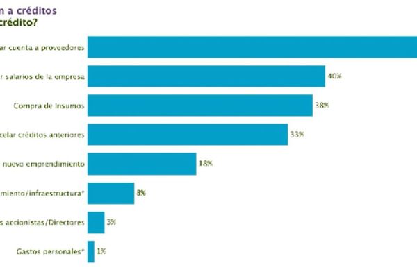 Encuesta revela que pocas empresas accedieron a créditos y otras ayudas - Nacionales - ABC Color