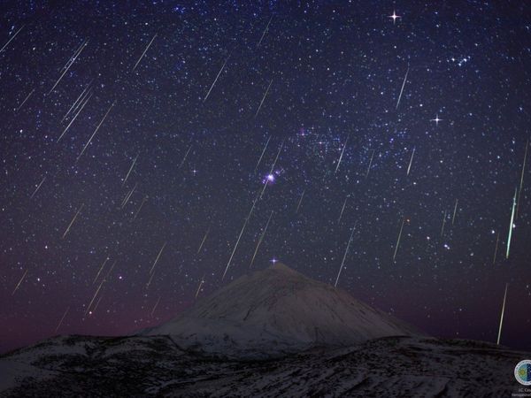 Gran lluvia de estrellas se podrá ver el jueves en nuestro país