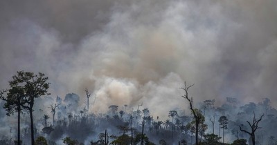 La Nación / Supermercados británicos y europeos amenazan con boicot a Brasil por deforestación