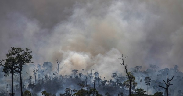 La Nación / Supermercados británicos y europeos amenazan con boicot a Brasil por deforestación