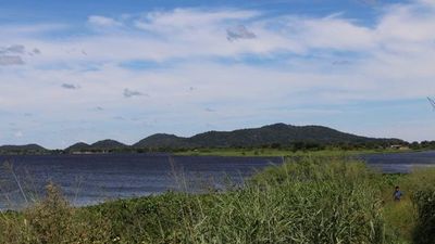 Alto Paraguay: ayoreos denuncian invasión de sus tierras - Nacionales - ABC Color