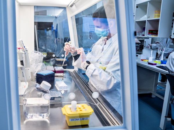 Descubren que la pérdida de olor por Covid-19 se debe a una inflamación