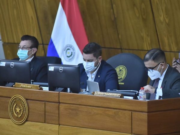 Pedro Alliana es electo como titular de Diputados por cuarta vez