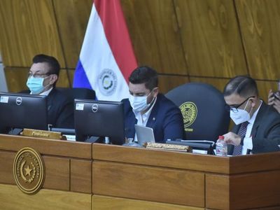 Mayoría colorada impone por cuarta vez la Presidencia de Pedro Alliana en Diputados