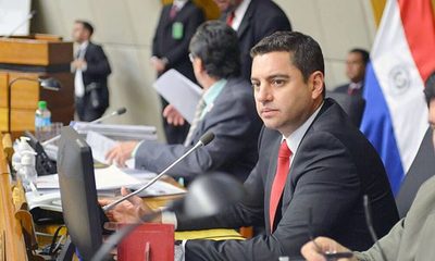 Alliana es reelecto presidente de la Cámara de Diputados