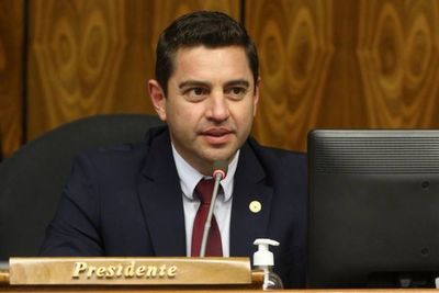 Alliana es reelecto como presidente de la Cámara de Diputados
