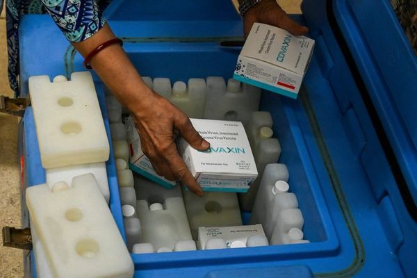 India pide disculpas y avisa demoras en el envío de vacunas Covaxin - Nacionales - ABC Color