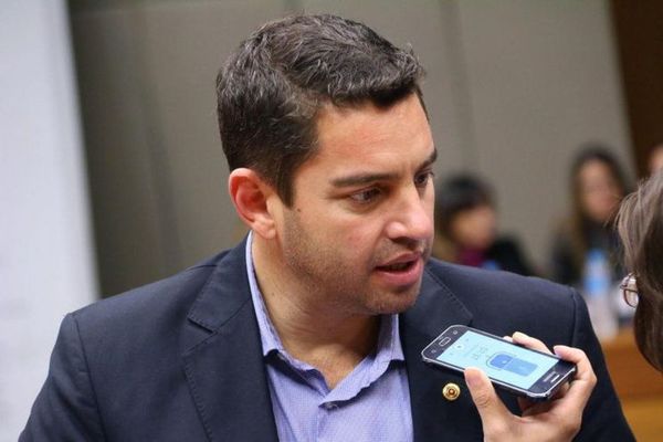 Eligen nuevamente a Alliana como presidente de la Cámara de Diputados