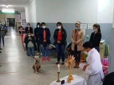 Beto, el perrito que se hizo viral por participar de rezo en hospital