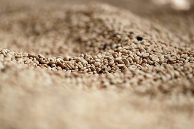 La producción de café en Colombia creció un 9 % en abril - MarketData