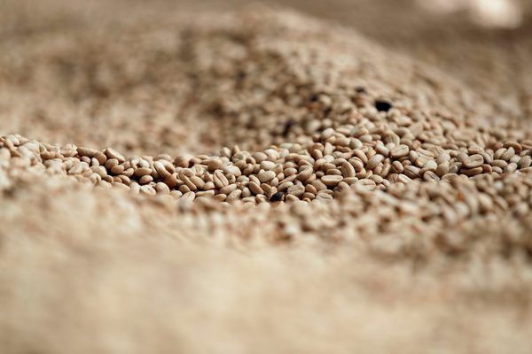 La producción de café en Colombia creció un 9 % en abril - MarketData