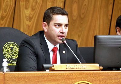 Alliana es reelecto por tercera vez y continuismo seguirá en Diputados