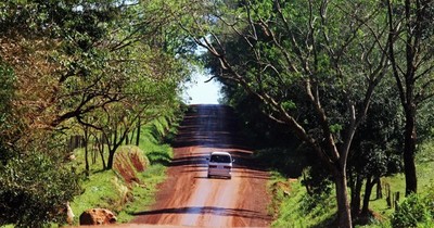 La Nación / Destino LN: Hohenau, una ciudad de estirpe europea, rica en naturaleza, cultura e historia