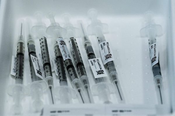 Vacuna de Pfizer protege más de un 95 % frente a la covid, según estudio - Mundo - ABC Color