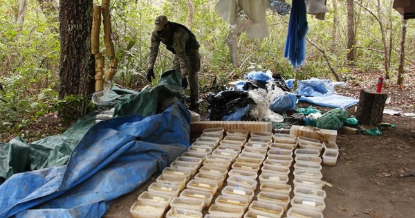 La Nación / Detectan pistas clandestinas y laboratorio de cocaína en el parque nacional Paso Bravo
