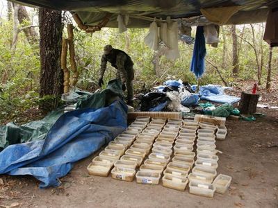 Senad detecta laboratorio de cocaína en el Parque Nacional Paso Bravo