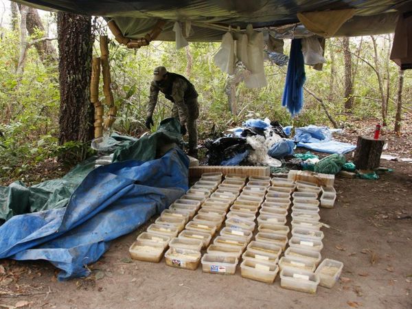 Senad detecta laboratorio de cocaína en el Parque Nacional Paso Bravo