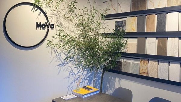 Tendencia actual: piedras sintéticas y naturales (MoVa ofrece provisión e instalación de estos materiales)