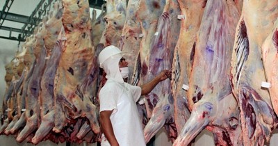La Nación / Chile sigue como principal destino de carne paraguaya
