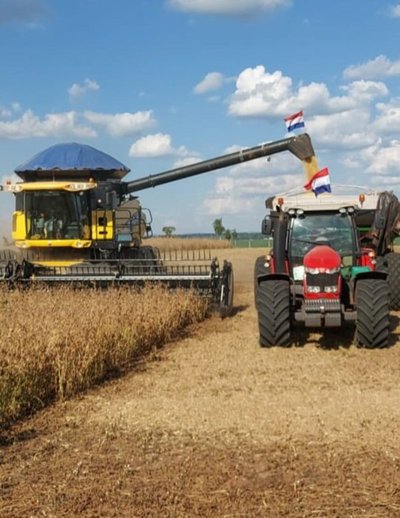 Precio de la SOJA sube 80% y beneficia a productores