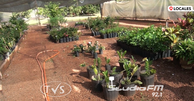 ÉPOCA DE CULTIVO DE FRUTALES
