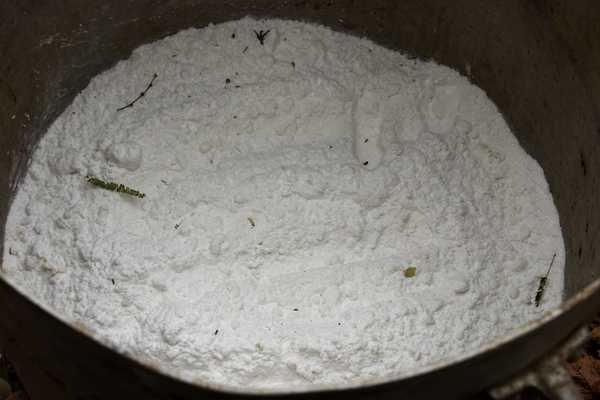 Senad detecta laboratorio de cocaína en el Parque Nacional Paso Bravo