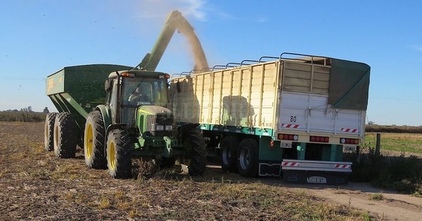 La Nación / Empiezan a transportar la soja vía terrestre debido a bajante del río