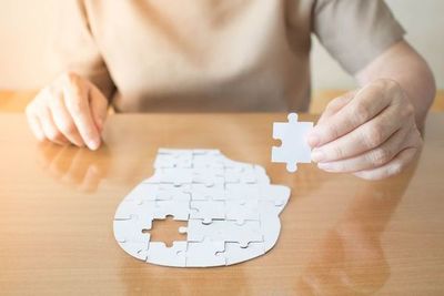 Nuevo avance para comprender cómo aprenden y almacenan recuerdos los humanos - Ciencia - ABC Color