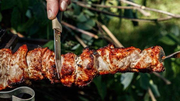 Paraguay comenzará a exportar carne a Turquía